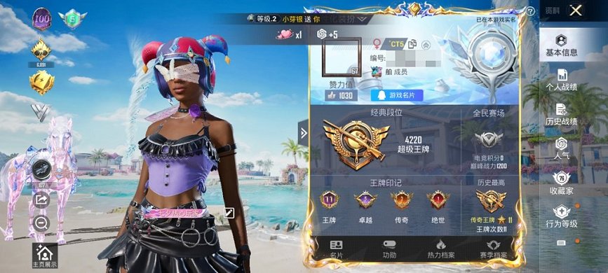 HPCMW3339589和平精英账号详情图3