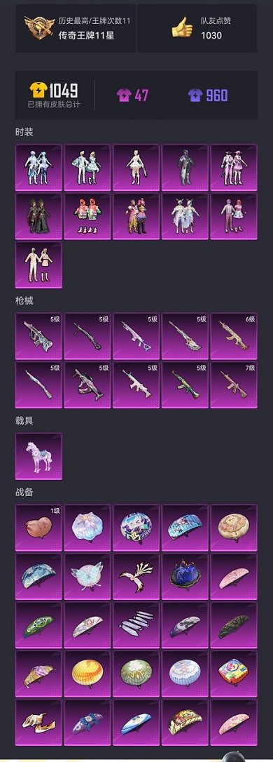 HPCMW3339589和平精英账号详情图20