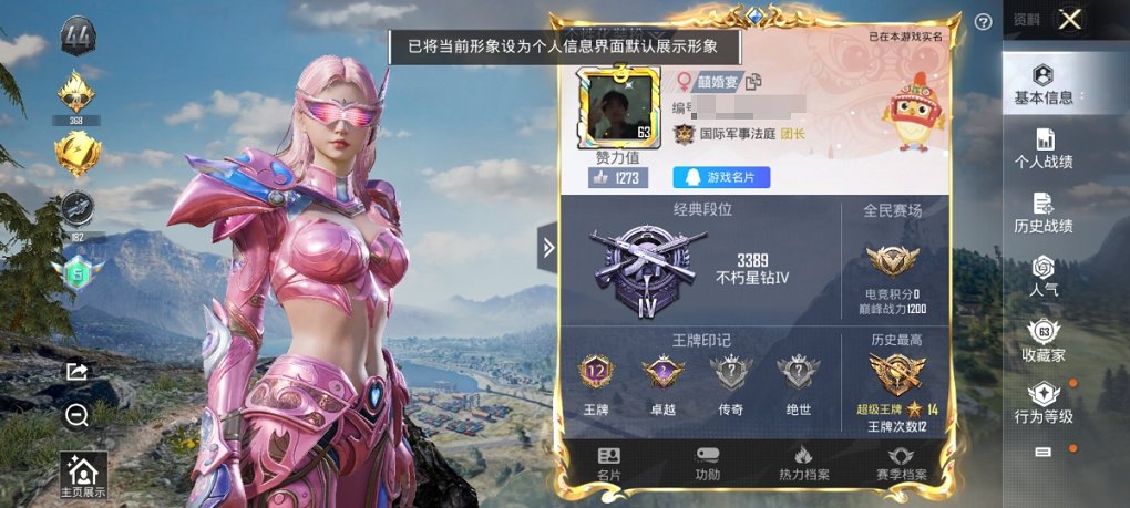 HPCMW3339606和平精英账号详情图9