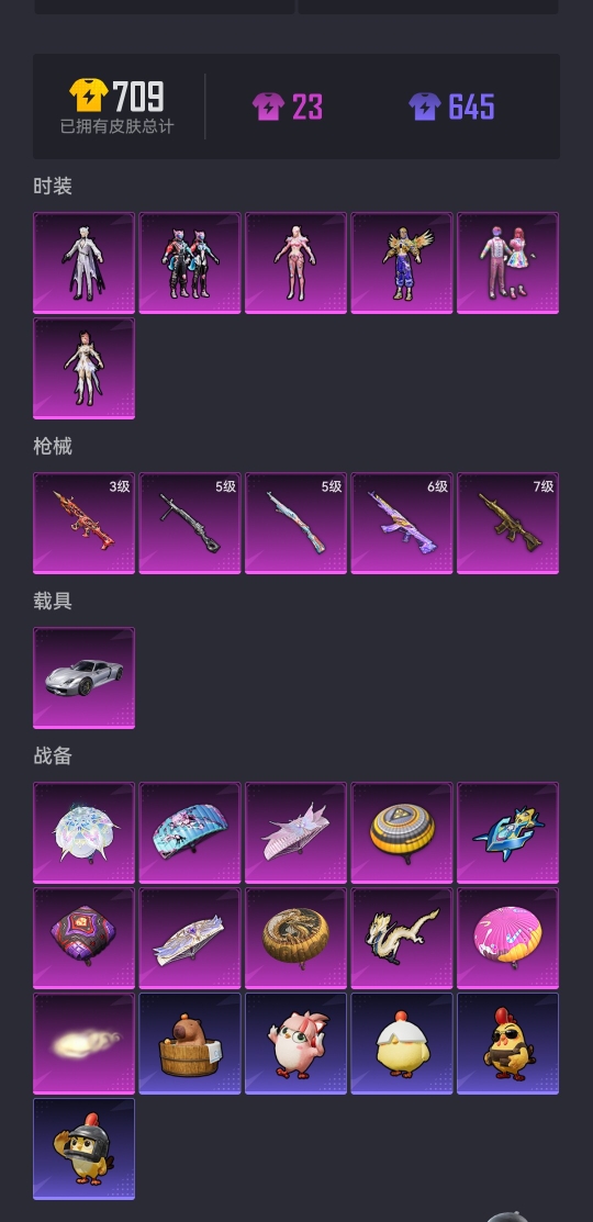 HPCMW3339606和平精英账号详情图15