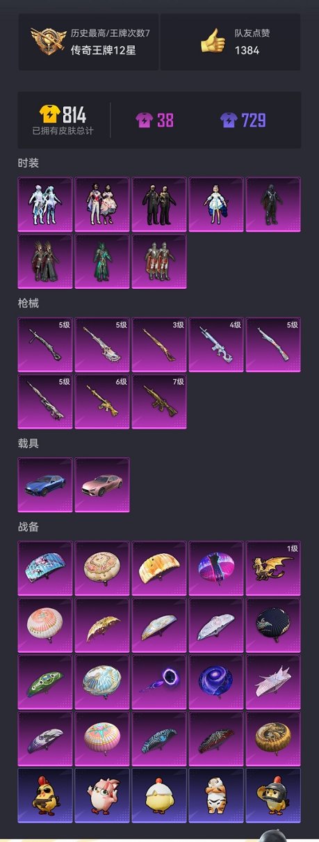 HPCMW3426147和平精英账号详情图21 HPCMW3426147和平精英账号详情图21