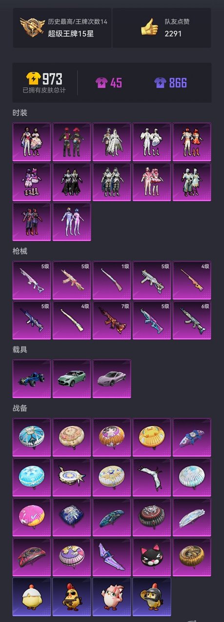 HPCMW3429605和平精英账号详情图17 HPCMW3429605和平精英账号详情图17