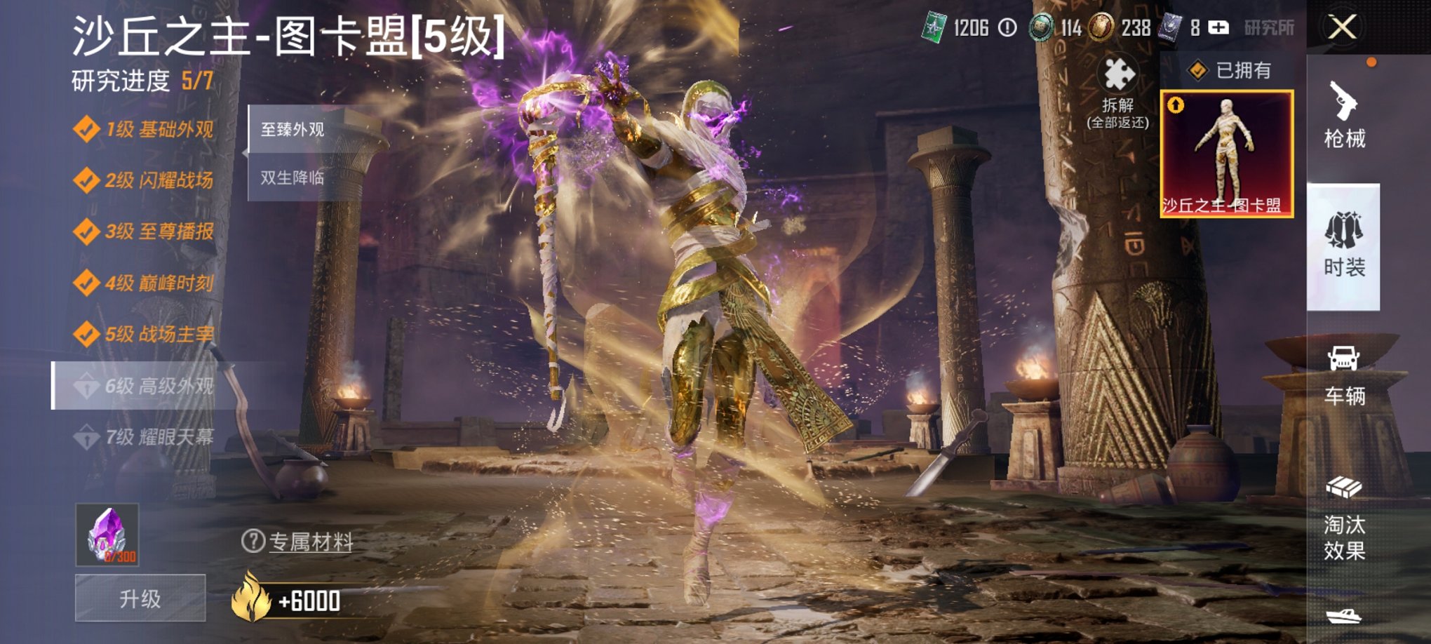 和平精英账号安卓微信8载具-377套装-520枪皮-【5级图卡盟36特效枪28粉装8载具1僚机浪客战士 身法素材号】 安