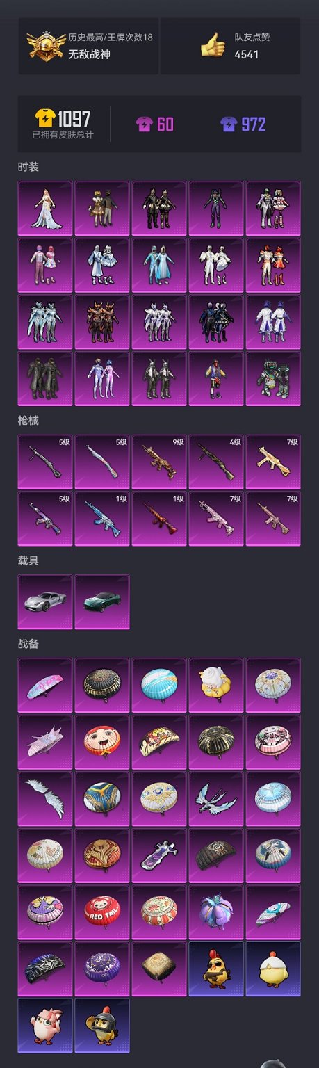 HPCMW3426731和平精英账号详情图27 HPCMW3426731和平精英账号详情图27