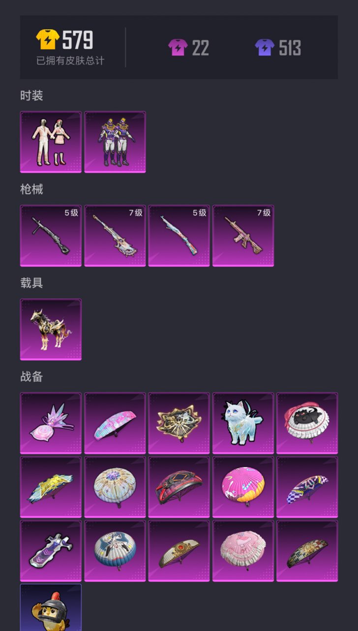 HPCMW3426103和平精英账号详情图14 HPCMW3426103和平精英账号详情图14