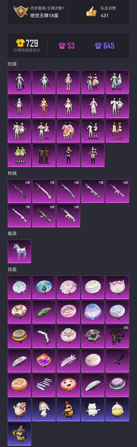 HPCMW3423703和平精英账号详情图21 HPCMW3423703和平精英账号详情图21