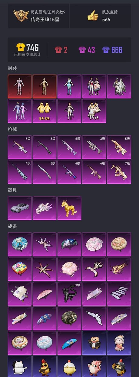 HPCMW3423833和平精英账号详情图27 HPCMW3423833和平精英账号详情图27