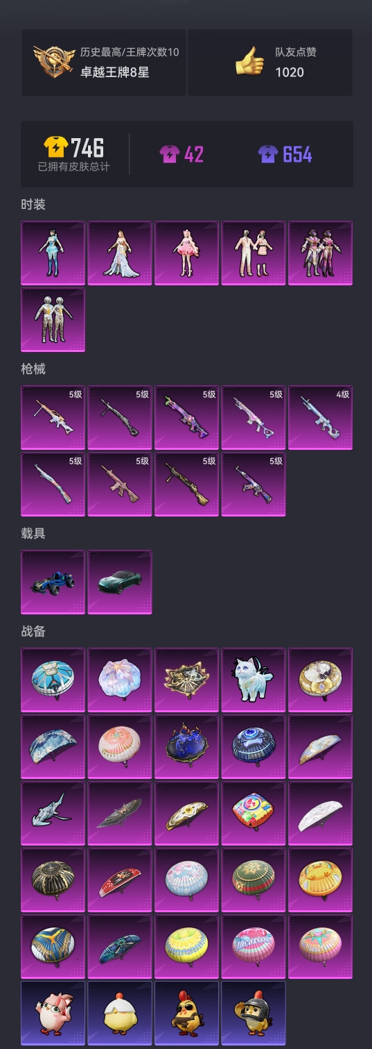 HPCMW3419776和平精英账号详情图19 HPCMW3419776和平精英账号详情图19