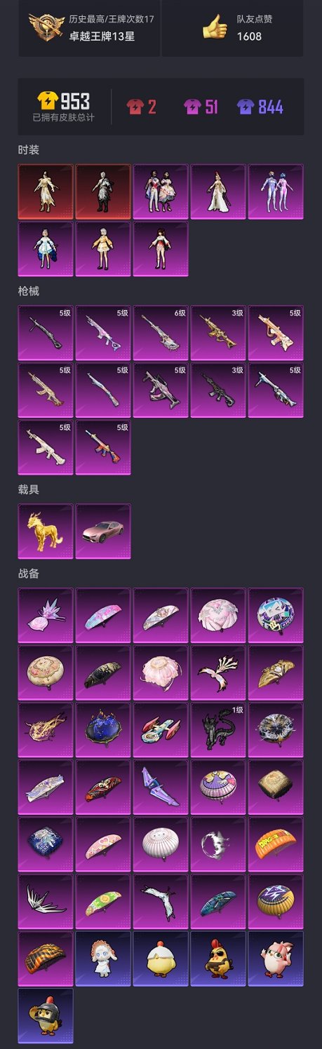 HPCMW3424809和平精英账号详情图20 HPCMW3424809和平精英账号详情图20