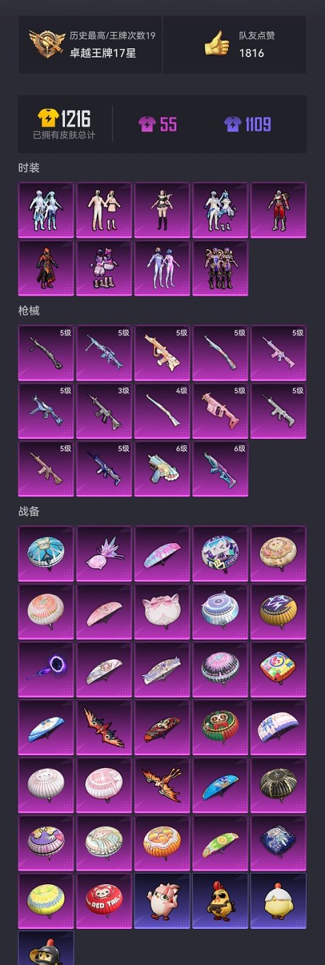 HPCMW3419993和平精英账号详情图30 HPCMW3419993和平精英账号详情图30