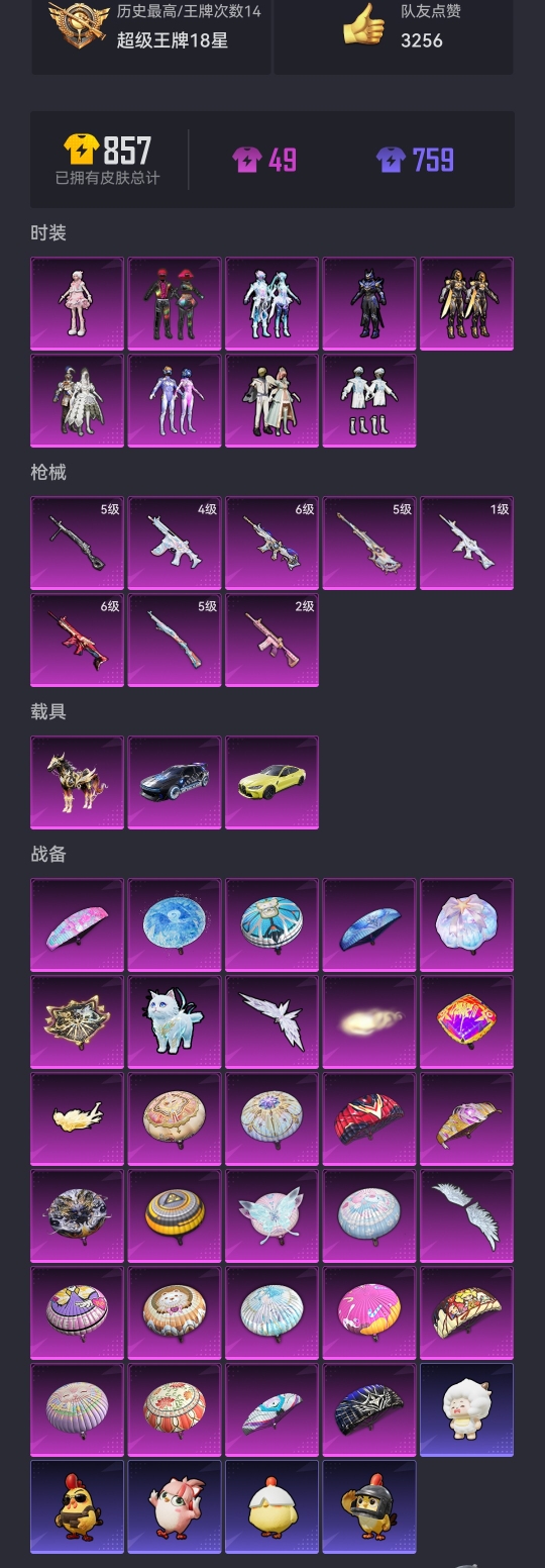 HPCMW3424910和平精英账号详情图23 HPCMW3424910和平精英账号详情图23