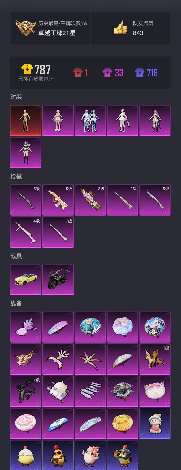 HPCMW3431254和平精英账号详情图18 HPCMW3431254和平精英账号详情图18