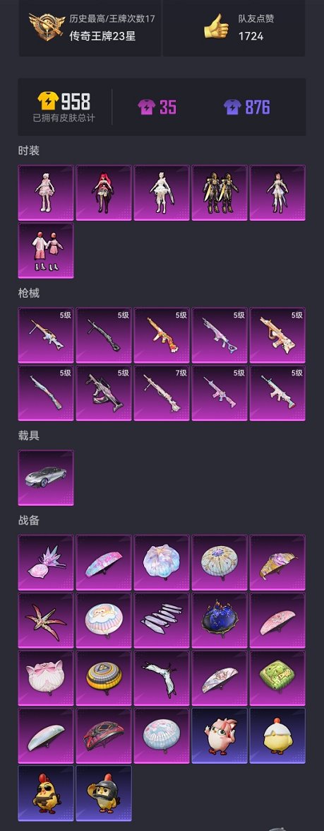 HPCMW3420265和平精英账号详情图21