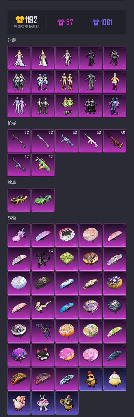 HPCMW3426205和平精英账号详情图25 HPCMW3426205和平精英账号详情图25