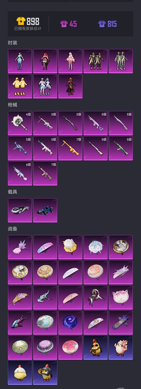 HPCMW3427262和平精英账号详情图20 HPCMW3427262和平精英账号详情图20