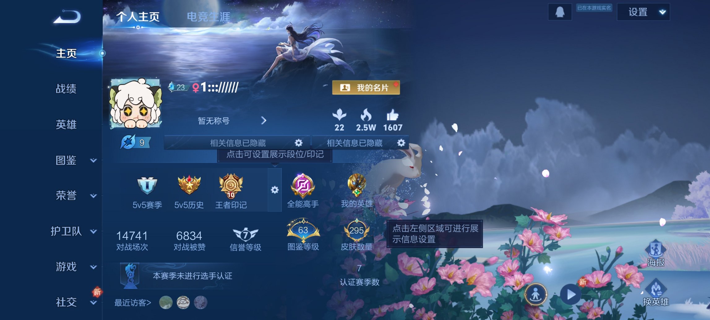 王者荣耀账号安卓QQ126英雄-295皮肤-【15传说295皮肤2星元 秒换绑不用等】安卓QQ-126英雄-295皮肤【