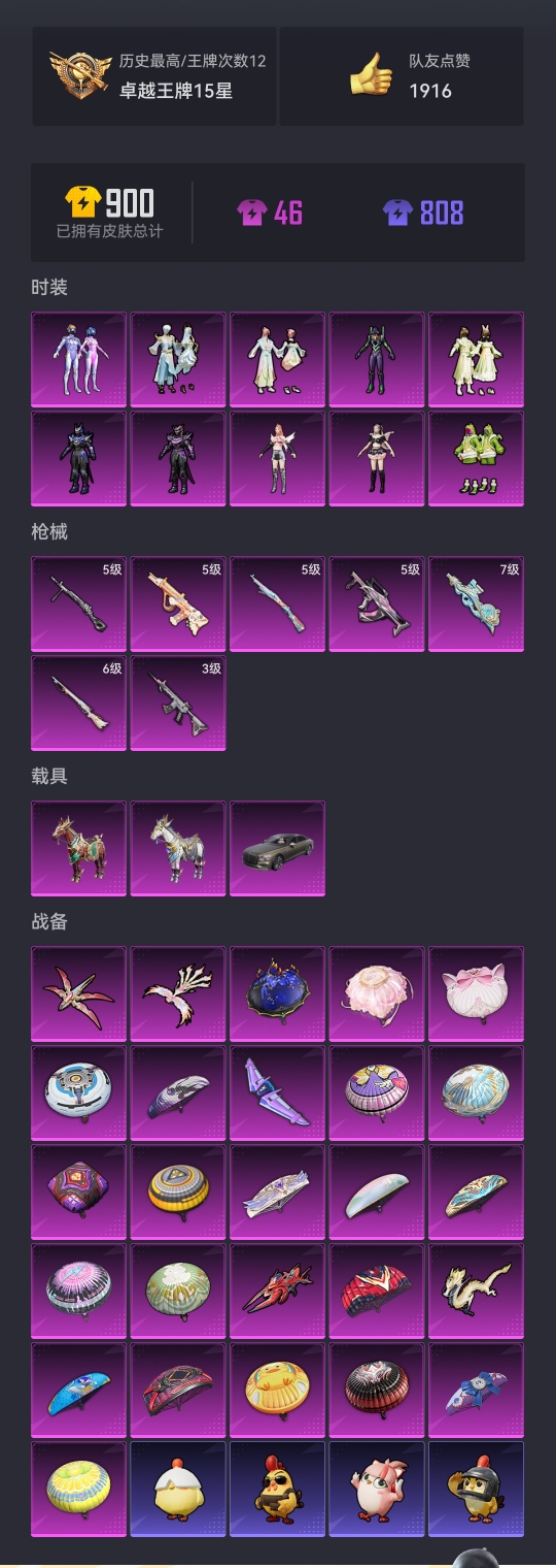 HPCMW3420969和平精英账号详情图19 HPCMW3420969和平精英账号详情图19