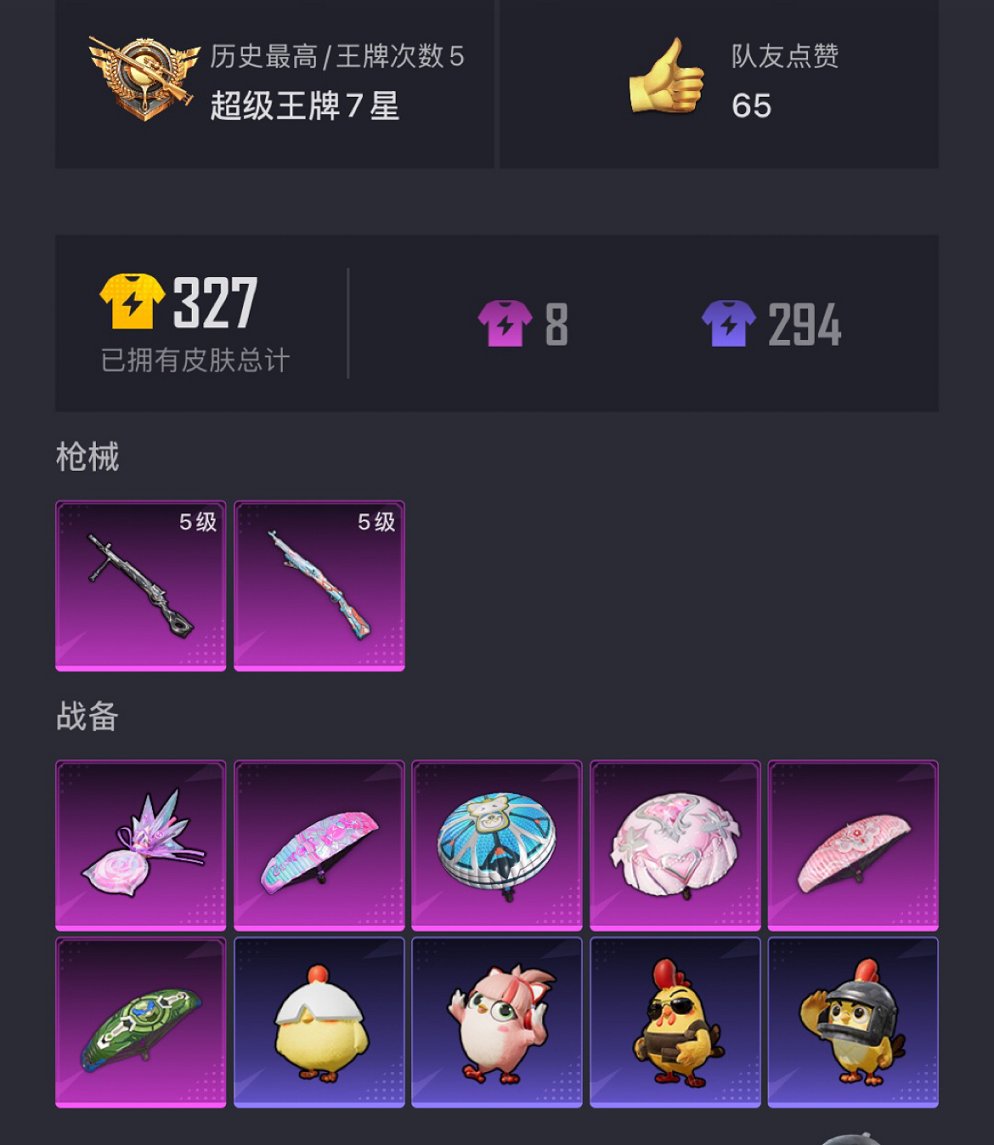 HPCMW3430295和平精英账号详情图17 HPCMW3430295和平精英账号详情图17