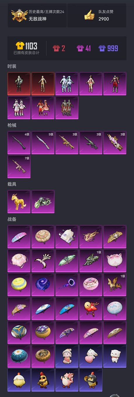 HPCMW3430272和平精英账号详情图24 HPCMW3430272和平精英账号详情图24