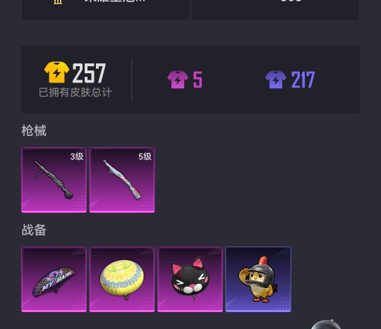 HPCMW3430282和平精英账号详情图14 HPCMW3430282和平精英账号详情图14