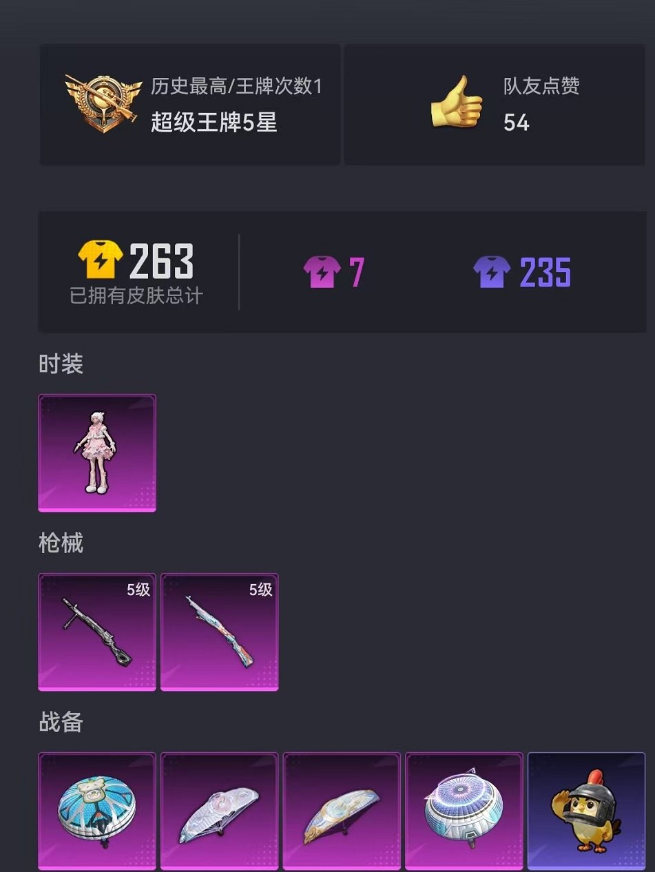 HPCMW3438615和平精英账号详情图15