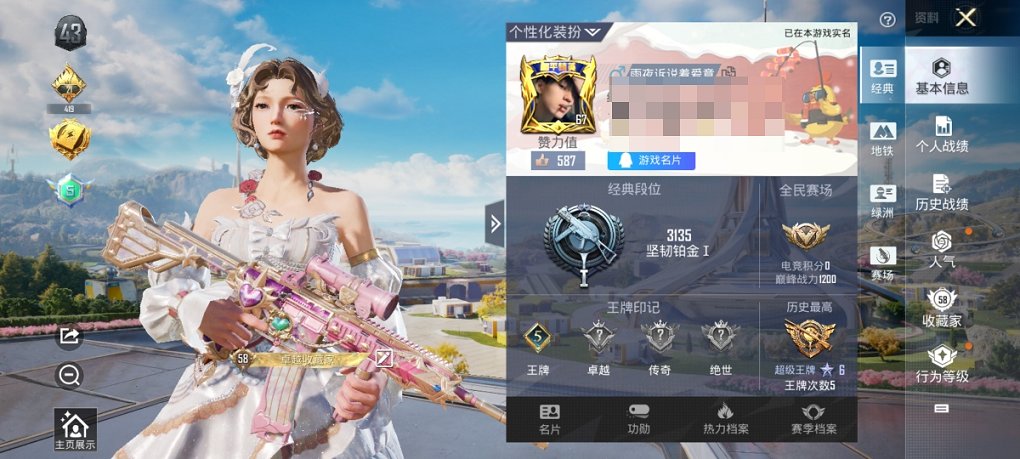 HPCMW3437317和平精英账号详情图14