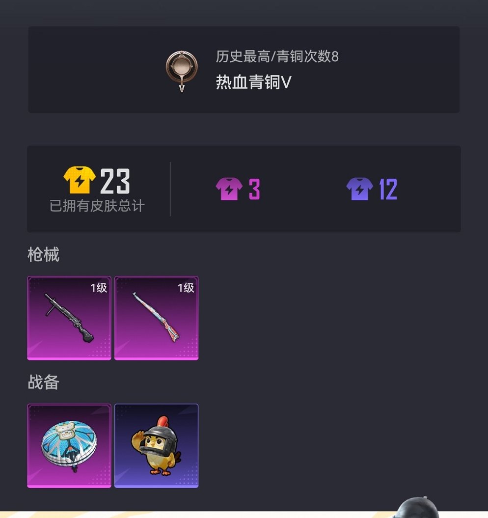 HPCMW3445873和平精英账号详情图11