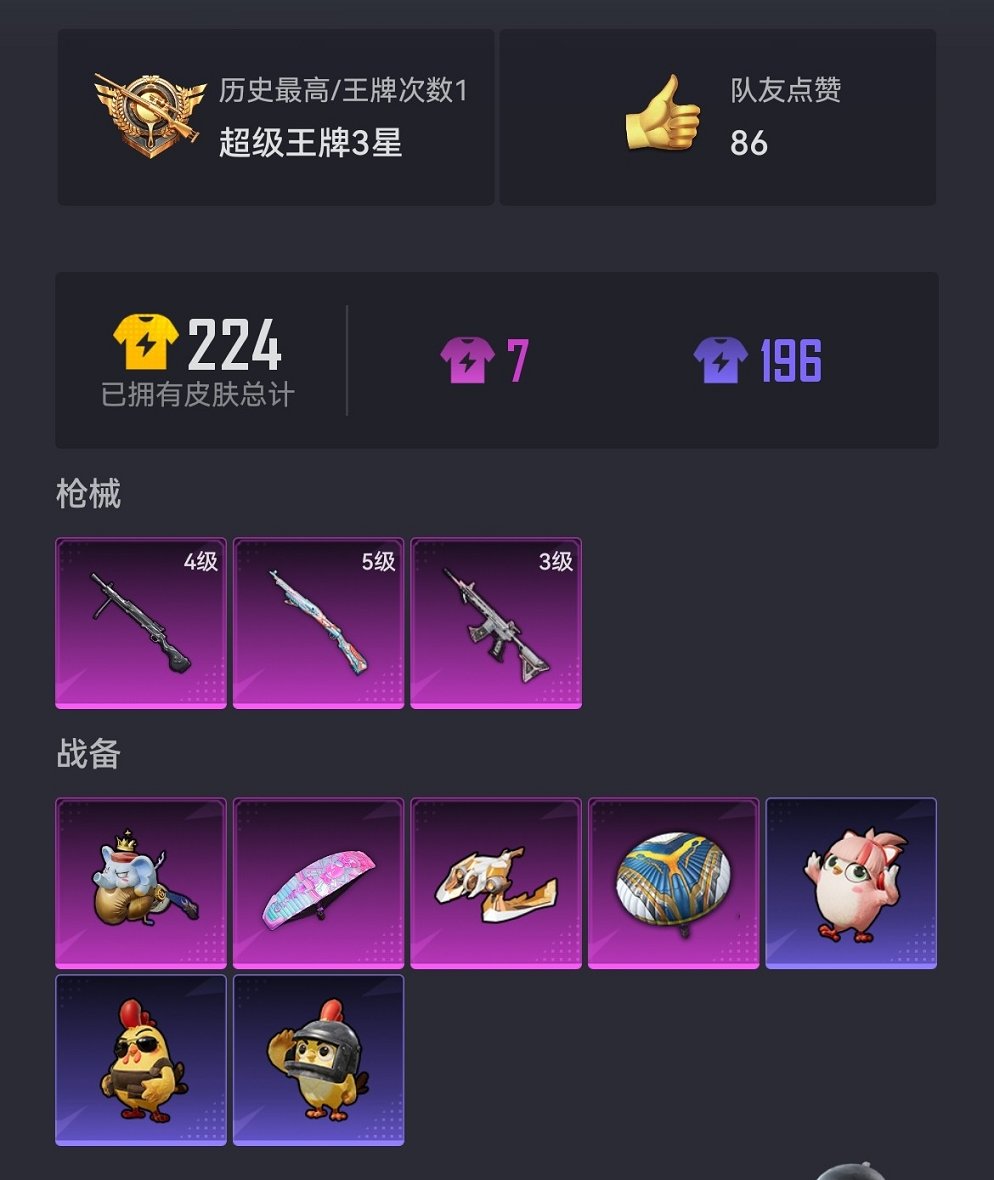 HPCMW3448196和平精英账号详情图15 HPCMW3448196和平精英账号详情图15