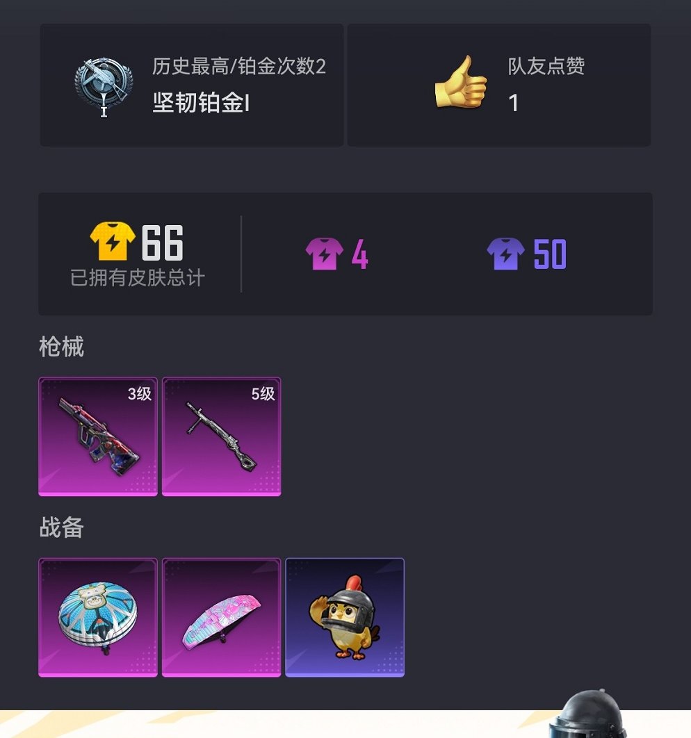 HPCMW3451499和平精英账号详情图13