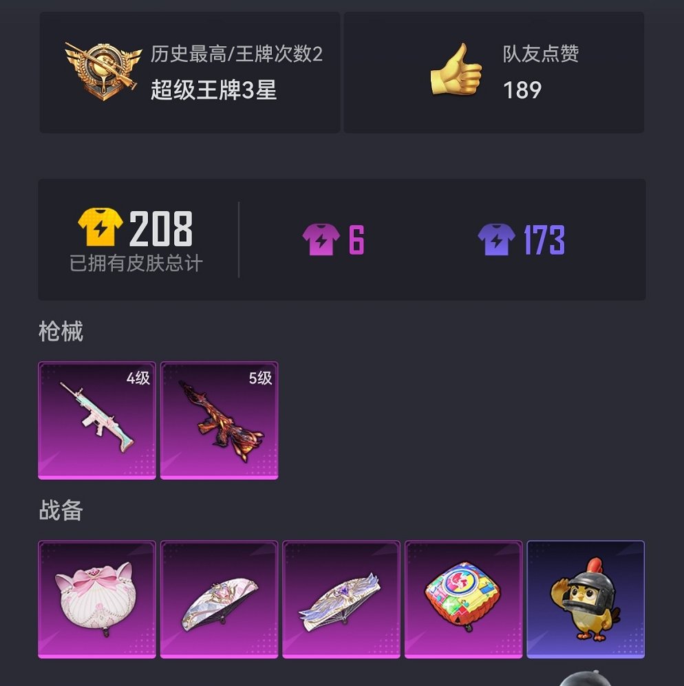 HPCMW3454809和平精英账号详情图12 HPCMW3454809和平精英账号详情图12