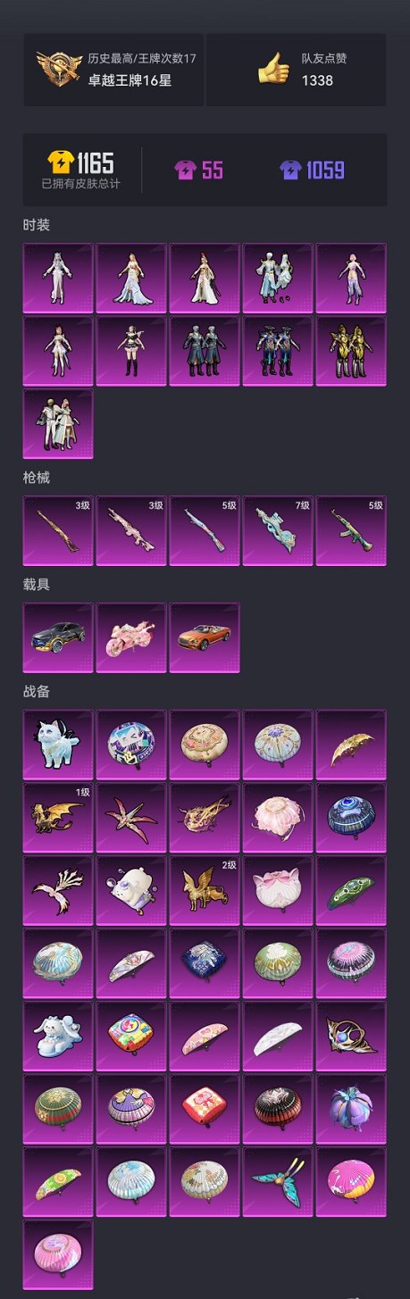 HPCMW43175和平精英账号详情图21 HPCMW43175和平精英账号详情图21