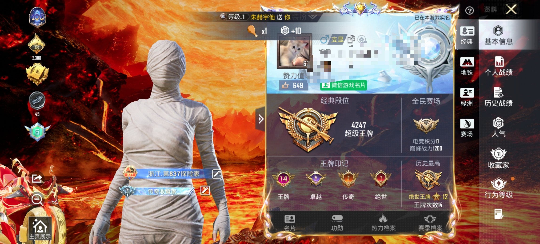 HPCMW46513和平精英账号详情图13