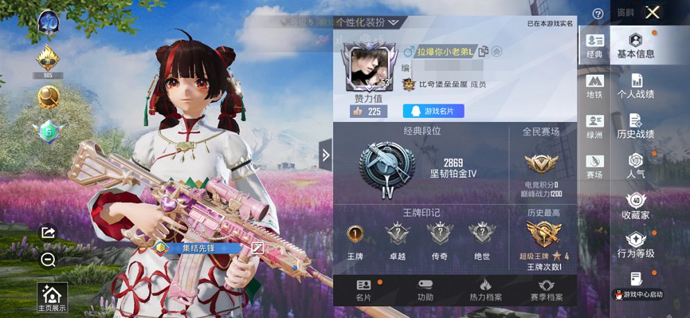 HPCMW468231和平精英账号详情图9