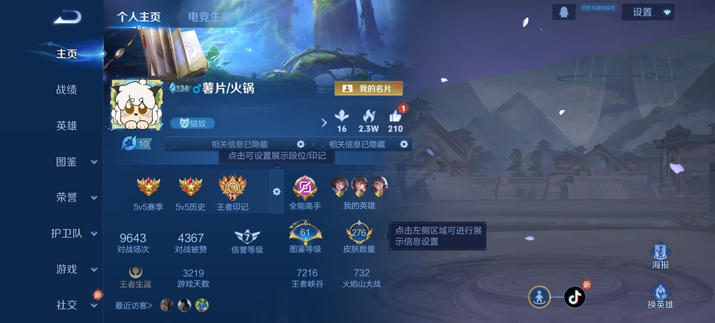 王者荣耀账号安卓QQ127英雄-276皮肤-可二次【276皮肤7传说1星元 秒换绑不用等】安卓QQ-127英雄-276皮