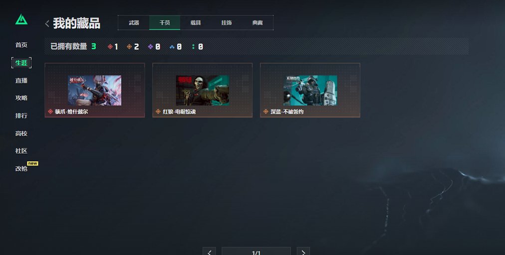 SJZCMW429865三角洲行动账号详情图12