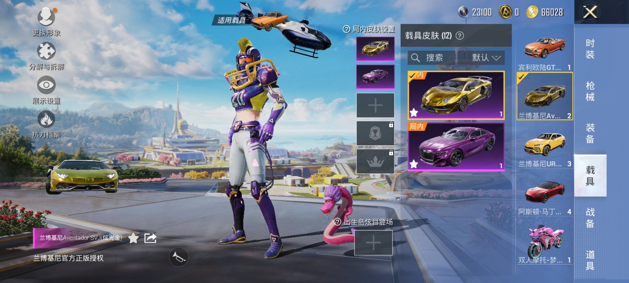 HPCMW419389和平精英账号详情图10