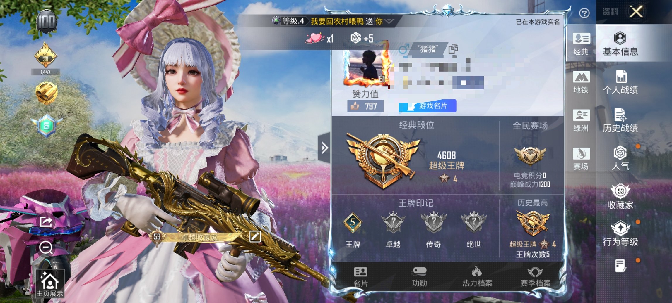 HPCMW419340和平精英账号详情图11