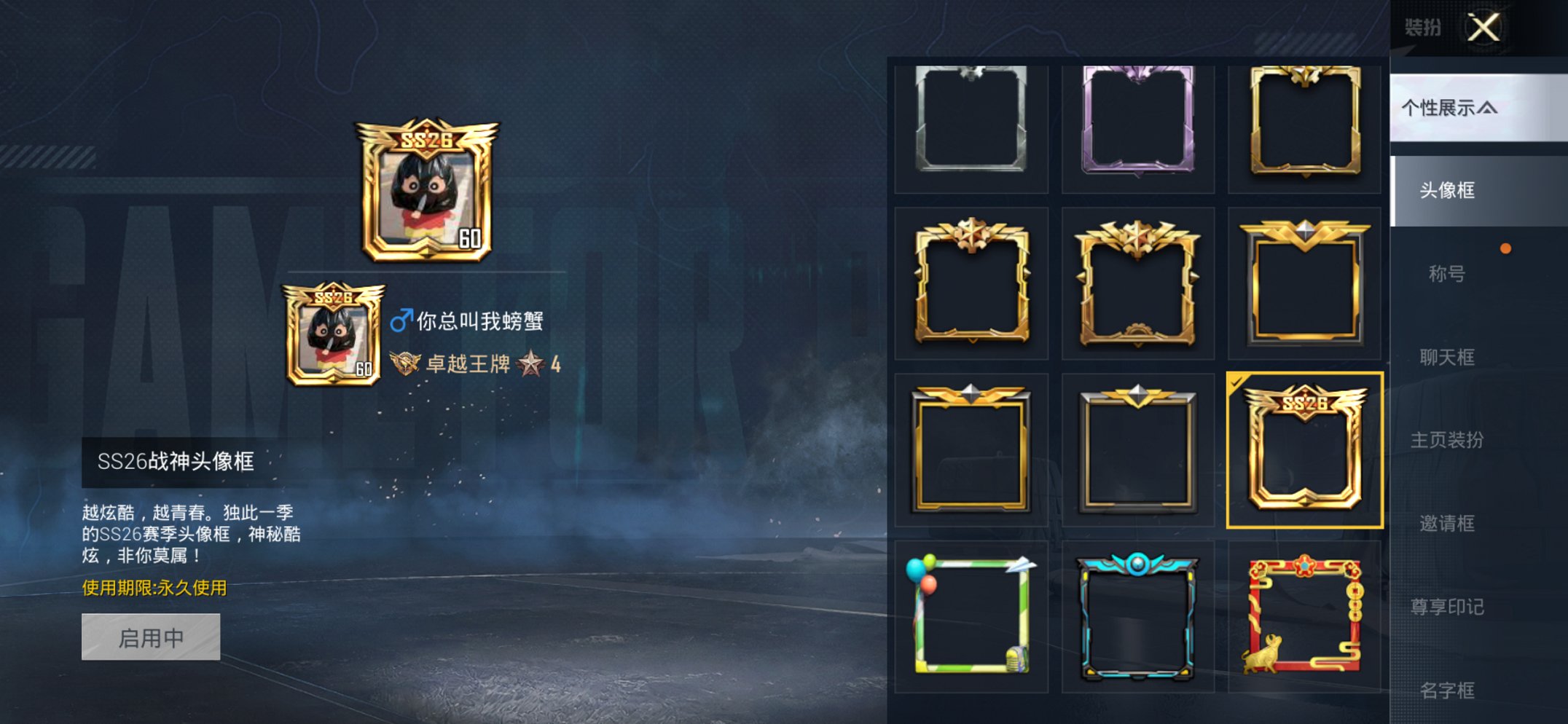 HPCMW438965和平精英账号详情图13