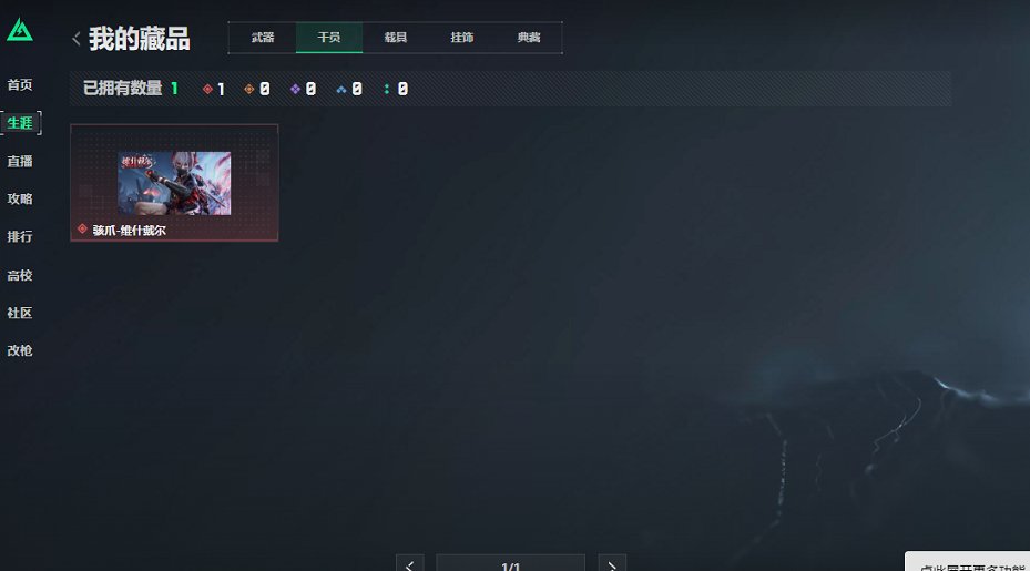 SJZCMW419409三角洲行动账号详情图13