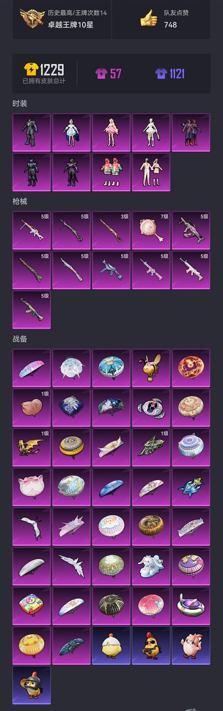 HPCMW454138和平精英账号详情图22