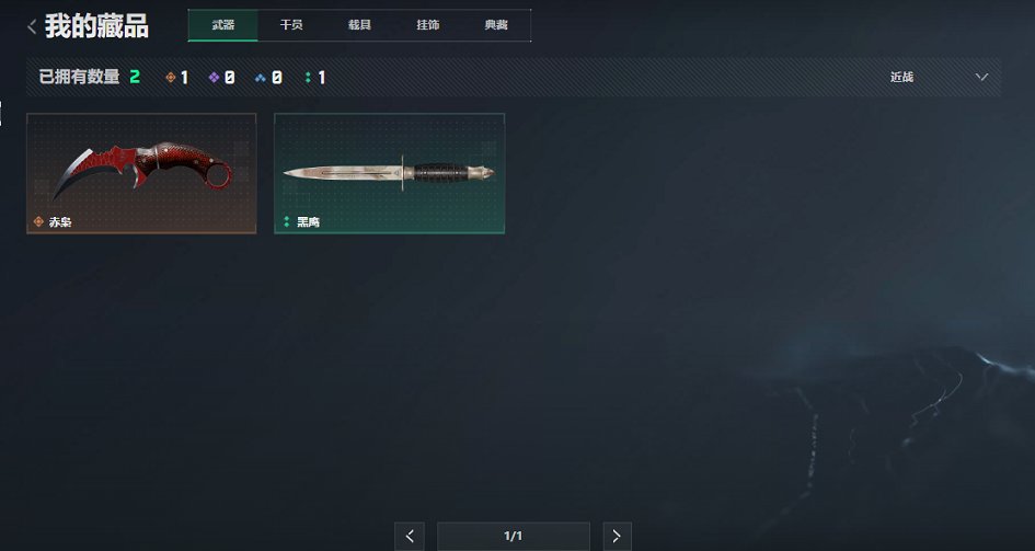 SJZCMW424029三角洲行动账号详情图10