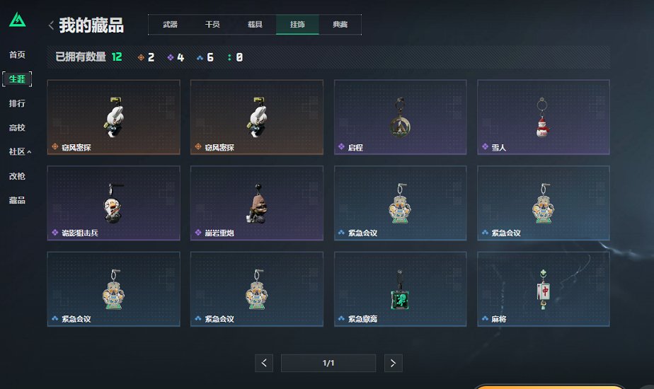 SJZCMW430179三角洲行动账号详情图12 SJZCMW430179三角洲行动账号详情图12