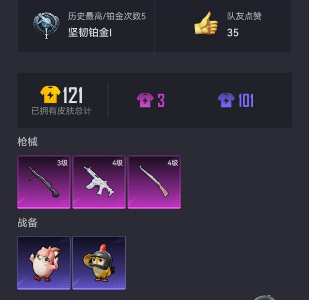 HPCMW456573和平精英账号详情图14