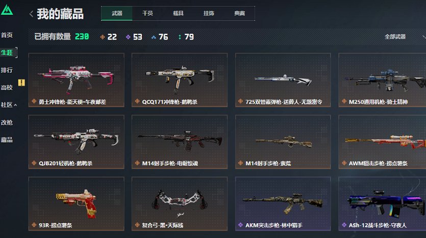 SJZCMW432022三角洲行动账号详情图9