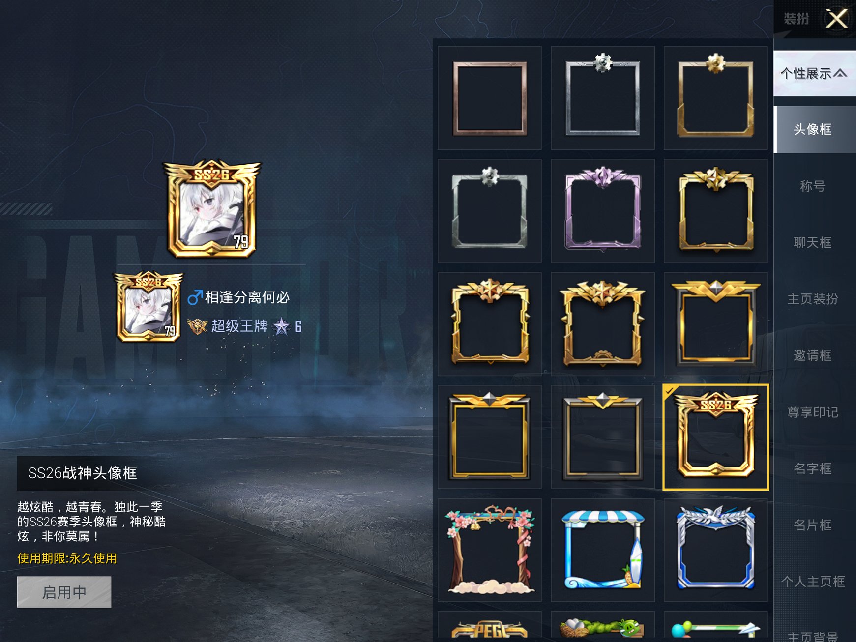 HPCMW467103和平精英账号详情图11