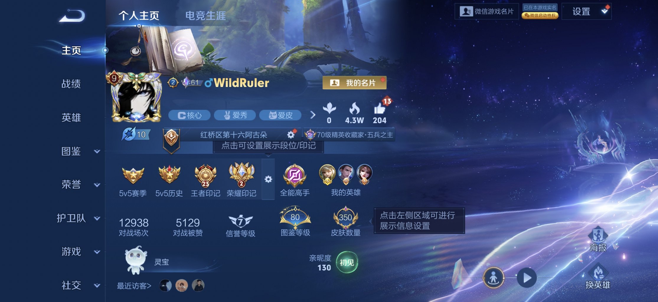 王者荣耀账号苹果VX129英雄-350皮肤-【23传说350皮肤4水晶1无双3星元 V永久社交 游戏正常】苹果V区-12