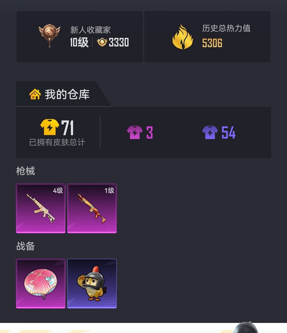 HPCMW4111603和平精英账号详情图12 HPCMW4111603和平精英账号详情图12