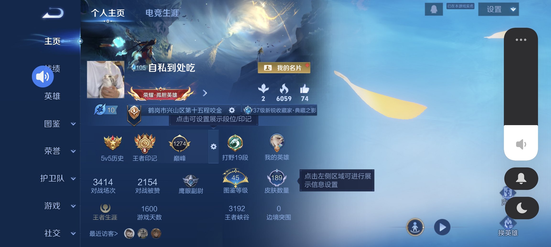 王者荣耀账号安卓QQ128英雄-206皮肤-【逐花归海206皮肤1水晶8传说1星元 秒换绑不用等】安卓QQ-128英雄-