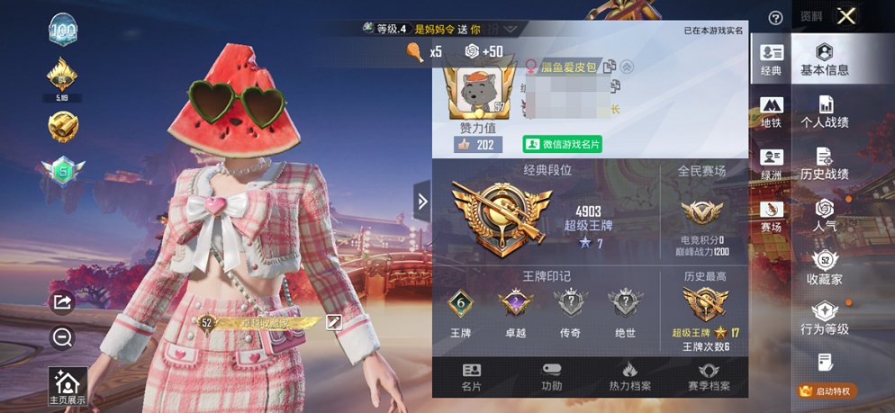 HPCMW4111691和平精英账号详情图2