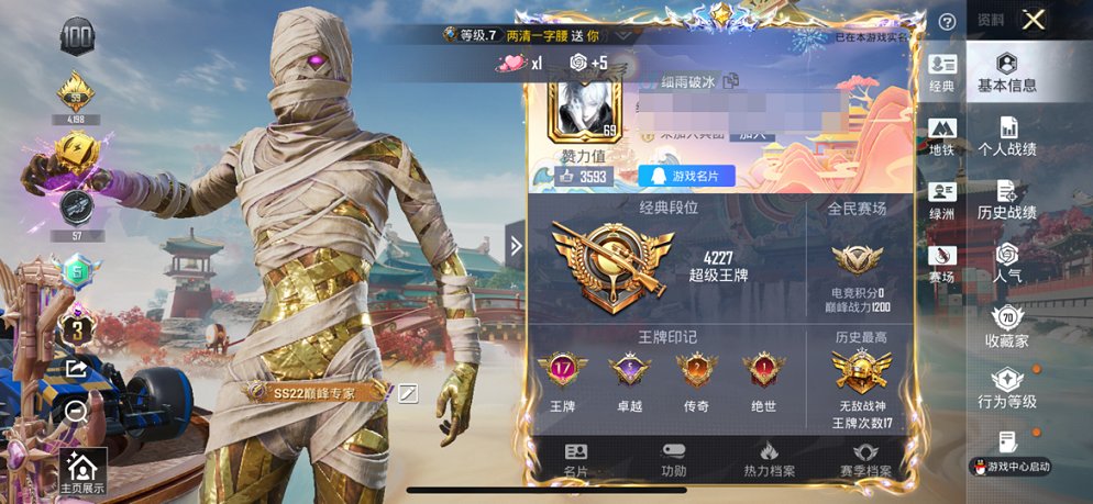 HPCMW4114393和平精英账号详情图5